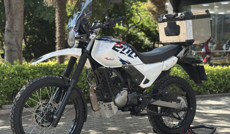 
								-D.İ.S GARAGE-XPULSE-RALLY KİT-HASAR KAYITSIZ-TAKAS-KREDİ KARTI- dolu									